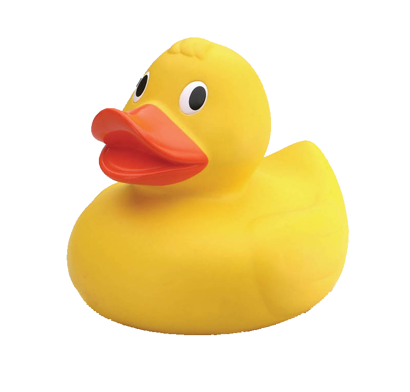 A little rubber duck