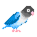 birddd