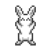 bunnydance