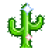cactus3
