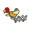 cuckoo
