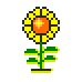 daisy