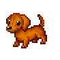 daschund