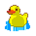duck
