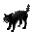 halloweencat