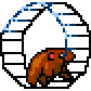 hamster