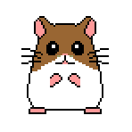 hamsterwinking