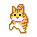 lilkittyorange