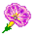 miniflower