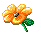 orange_flower