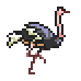 ostrich