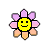 pinkdaisy