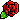 rose_3