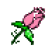 rosebud