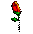 stem_rose