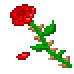thornyrose