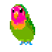 toucan
