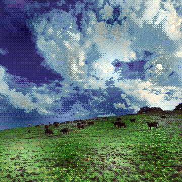 Almost Eden
