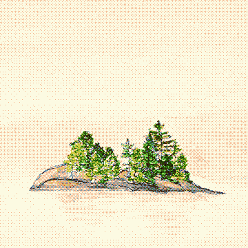 Blueberry Island