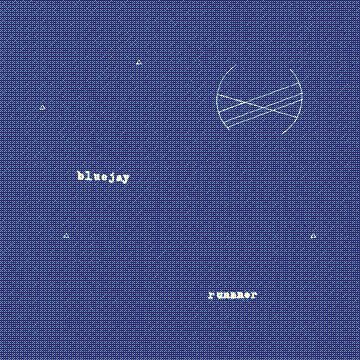 bluejay