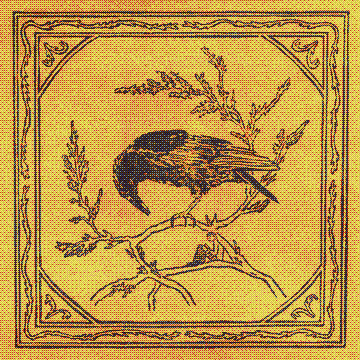 Crows