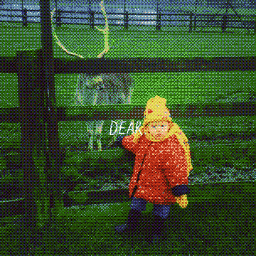 Dear