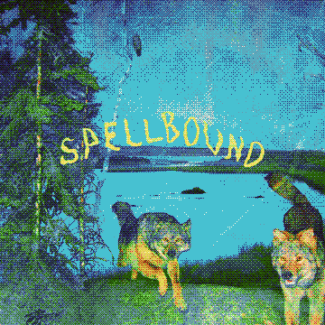 Fell