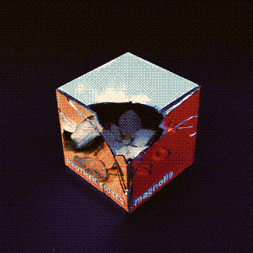 Inertia