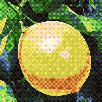life and lemons