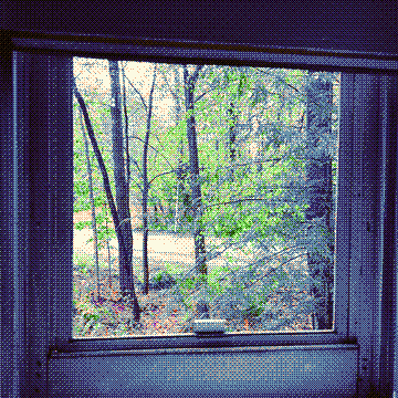 memory you never knew.