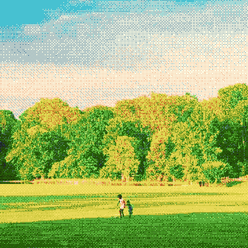 Poppyfields