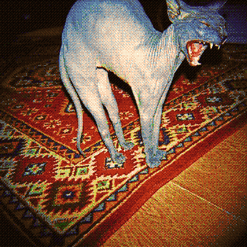 rottenteeth