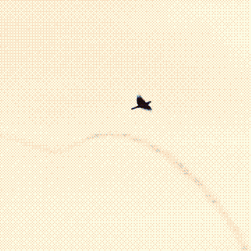 Solitude