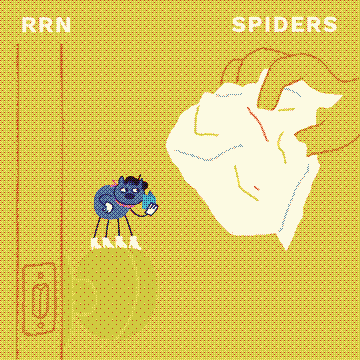 Spiders