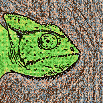 The Chameleon